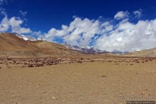 Мустанг. Последний рывок. Вот и столица