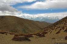 Мустанг. Последний рывок. Вот и столица