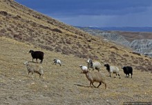 Мустанг. Последний рывок. Вот и столица