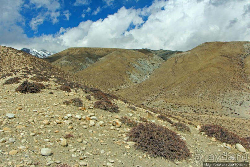 Мустанг. Последний рывок. Вот и столица