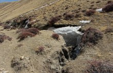 Мустанг. Последний рывок. Вот и столица