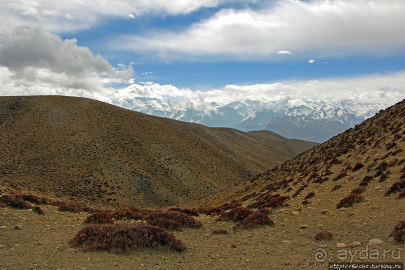 Мустанг. Последний рывок. Вот и столица