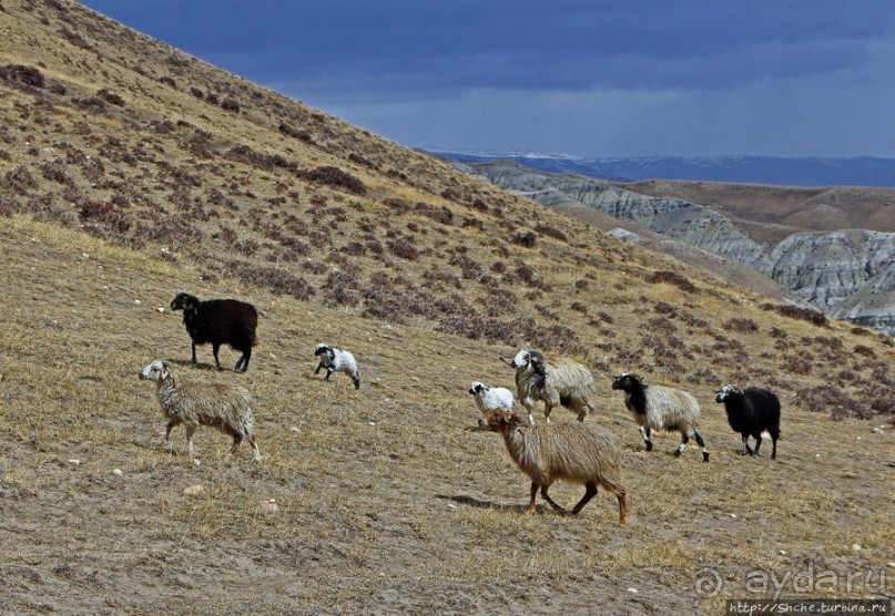 Мустанг. Последний рывок. Вот и столица