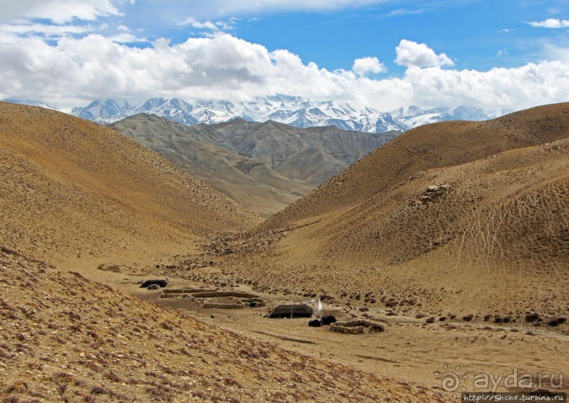 Мустанг. Последний рывок. Вот и столица