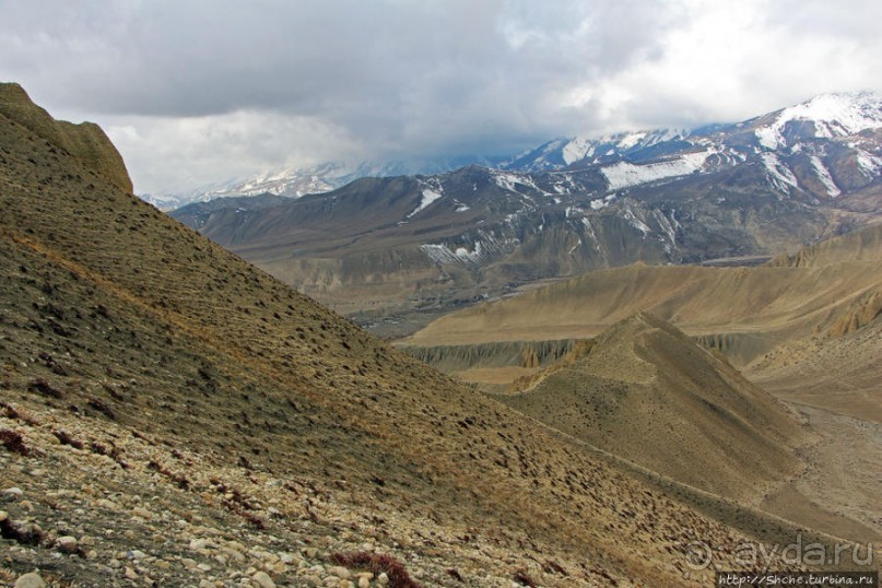 Мустанг. Последний рывок. Вот и столица