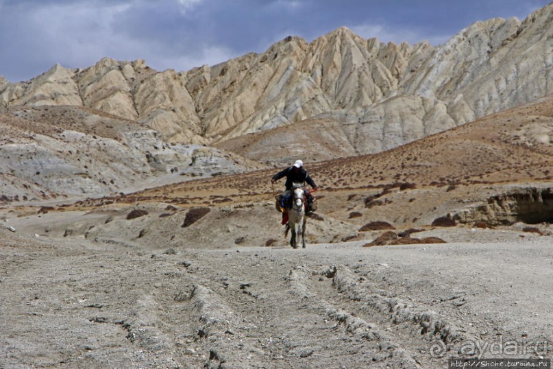 Мустанг. Последний рывок. Вот и столица