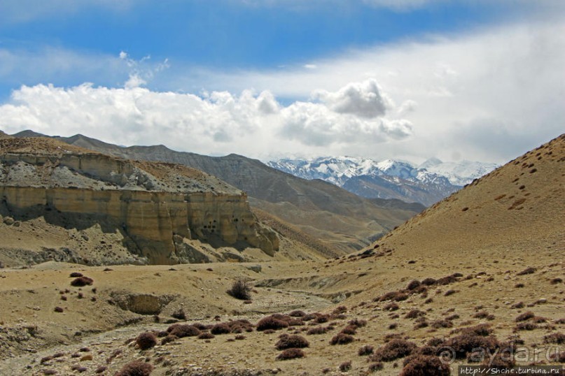 Мустанг. Последний рывок. Вот и столица