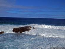 Полный ужаса и фатализма, хотя и не лишенный мягкости