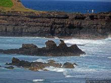 Полный ужаса и фатализма, хотя и не лишенный мягкости