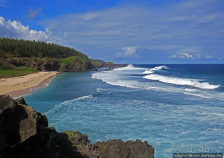 Полный ужаса и фатализма, хотя и не лишенный мягкости