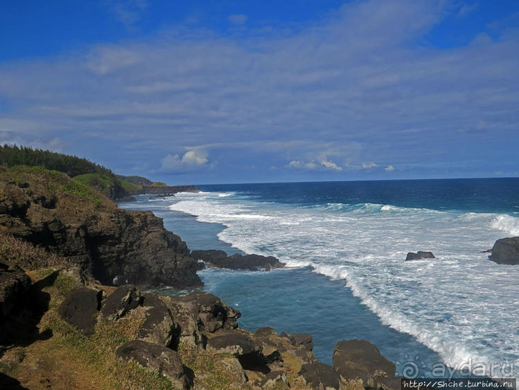Полный ужаса и фатализма, хотя и не лишенный мягкости