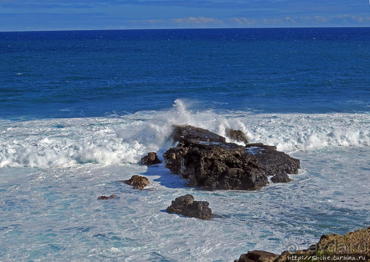 Полный ужаса и фатализма, хотя и не лишенный мягкости