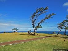 Полный ужаса и фатализма, хотя и не лишенный мягкости