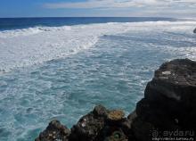 Полный ужаса и фатализма, хотя и не лишенный мягкости