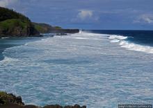 Полный ужаса и фатализма, хотя и не лишенный мягкости