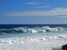 Полный ужаса и фатализма, хотя и не лишенный мягкости