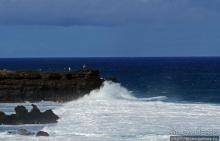 Полный ужаса и фатализма, хотя и не лишенный мягкости