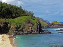 Полный ужаса и фатализма, хотя и не лишенный мягкости