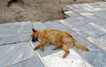 У подножия Акрополя