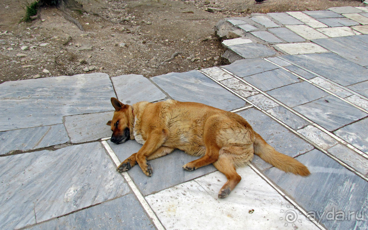 У подножия Акрополя