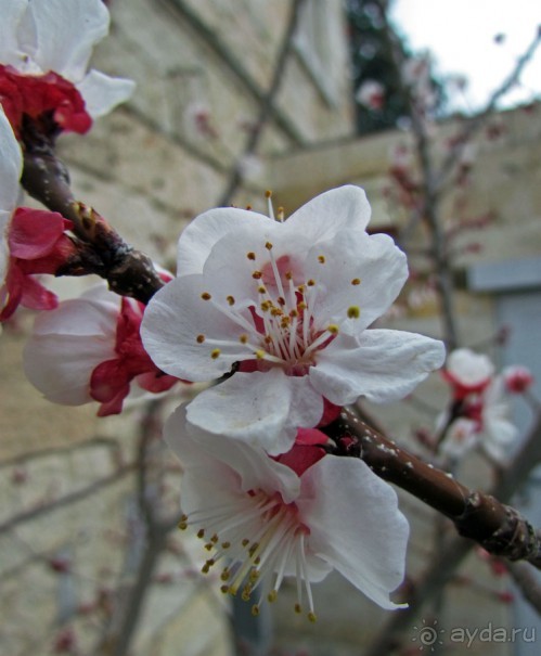 У подножия Акрополя