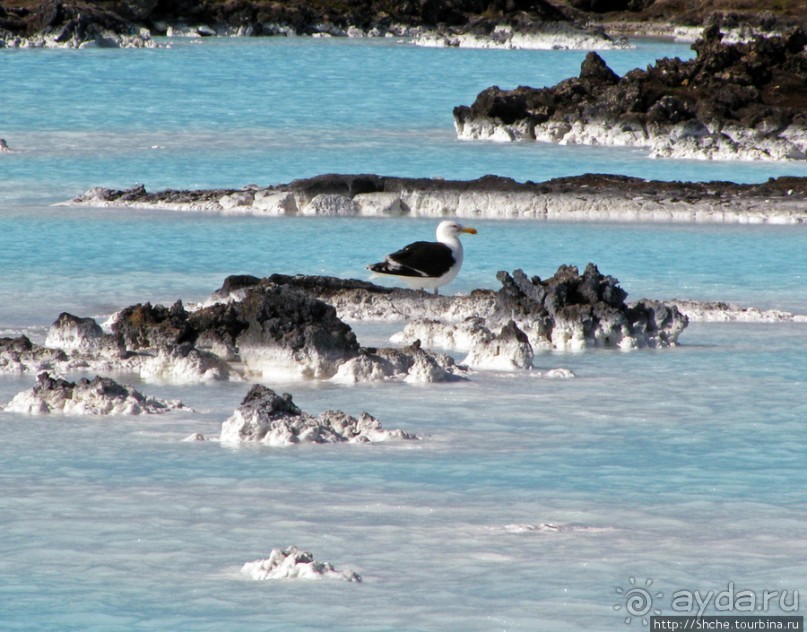 Голубая Лагуна ( Blue Lagoon ) — лучший SPA-комплекс в мире