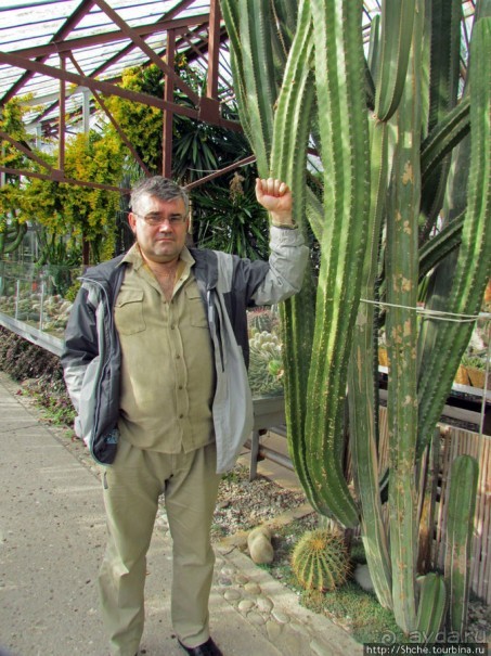Крупнейшее собрание суккулентов "Мир кактусов"