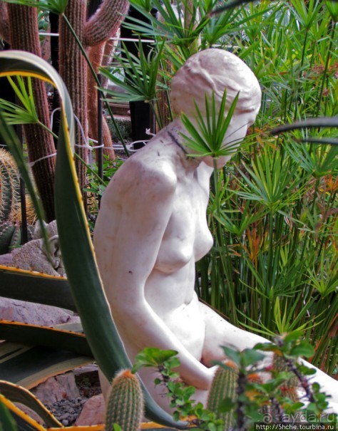 Крупнейшее собрание суккулентов "Мир кактусов"