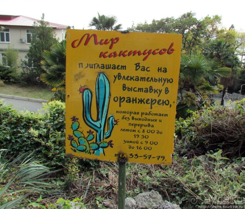 Крупнейшее собрание суккулентов "Мир кактусов"