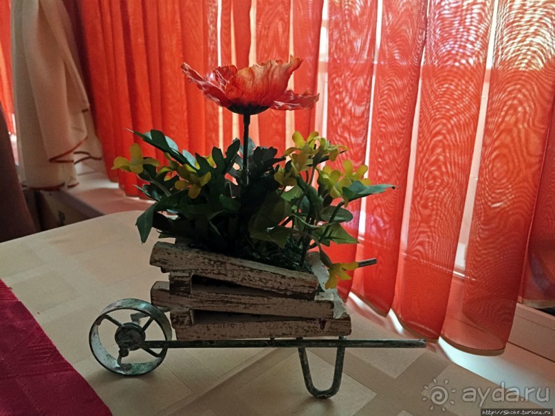 Альбом отзыва "Райская пища в райском интерьере в "Эдеме""