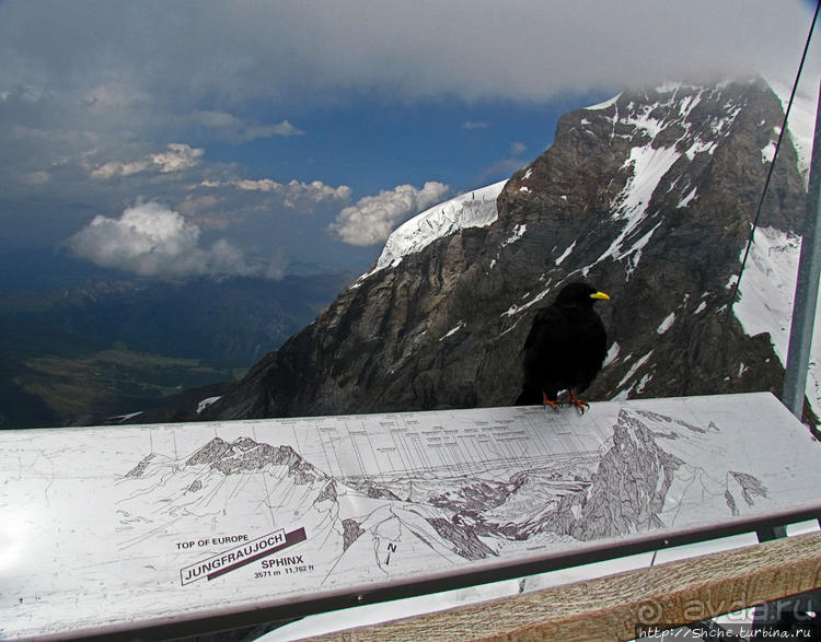 "Коромысло юной девушки" — горный хребет в Бернских Альпах
