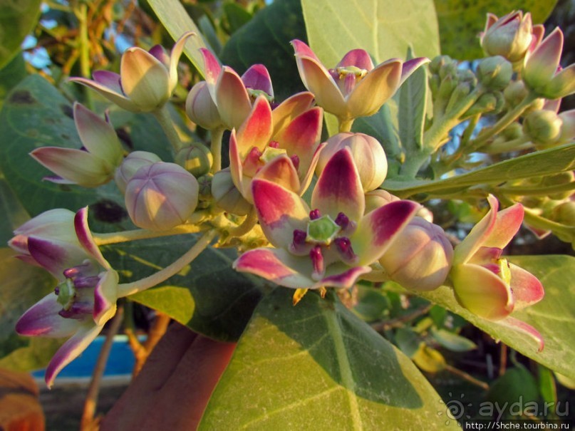 Закат солнца в Тулиаре