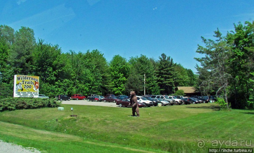 Альбом отзыва "Любопытный зоопарк, который мы к сожалению проехали мимо"