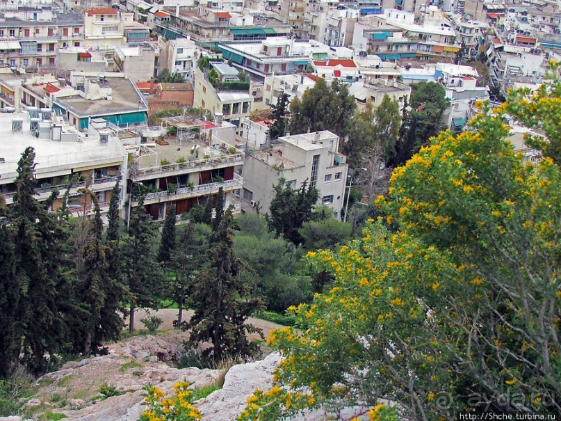 Альбом отзыва "От прогулки к практически горному треккингу в центре города"