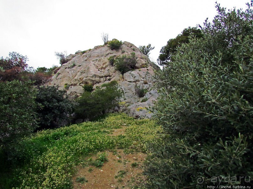 Альбом отзыва "От прогулки к практически горному треккингу в центре города"