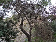 Альбом отзыва "От прогулки к практически горному треккингу в центре города"