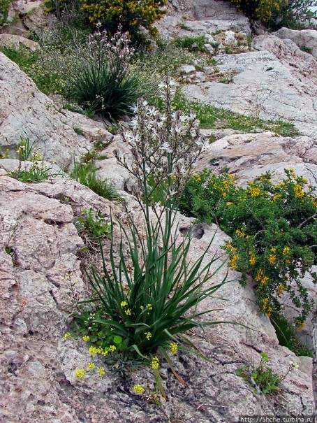 Альбом отзыва "От прогулки к практически горному треккингу в центре города"