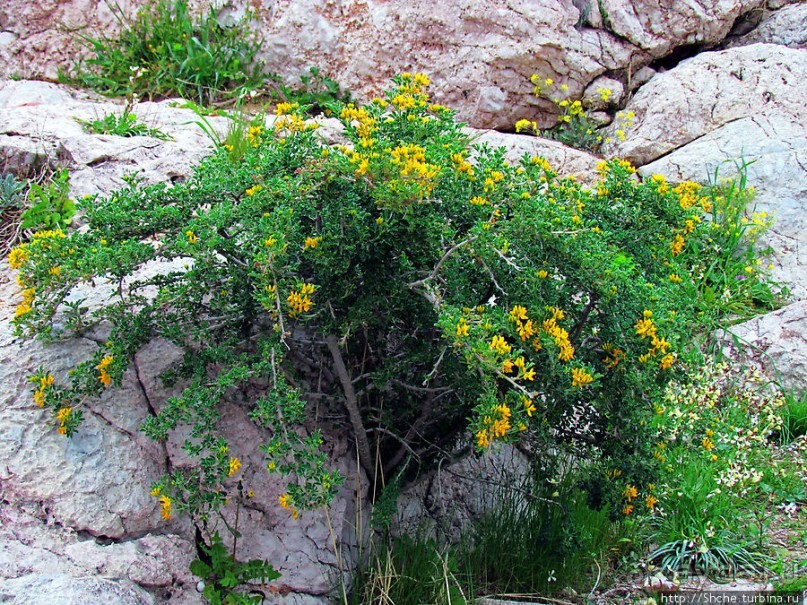 Альбом отзыва "От прогулки к практически горному треккингу в центре города"