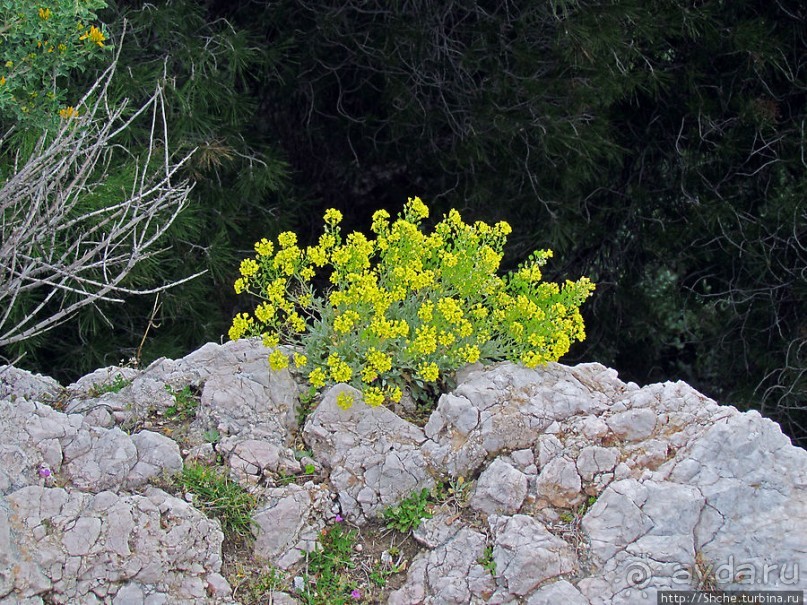 От прогулки к практически горному треккингу в центре города