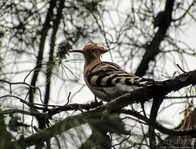 От прогулки к практически горному треккингу в центре города