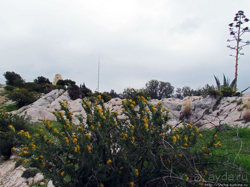 От прогулки к практически горному треккингу в центре города