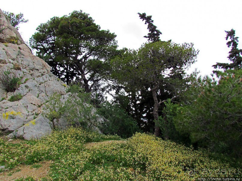 От прогулки к практически горному треккингу в центре города