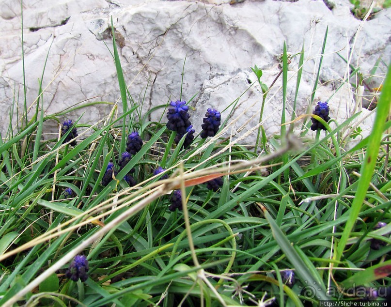 От прогулки к практически горному треккингу в центре города