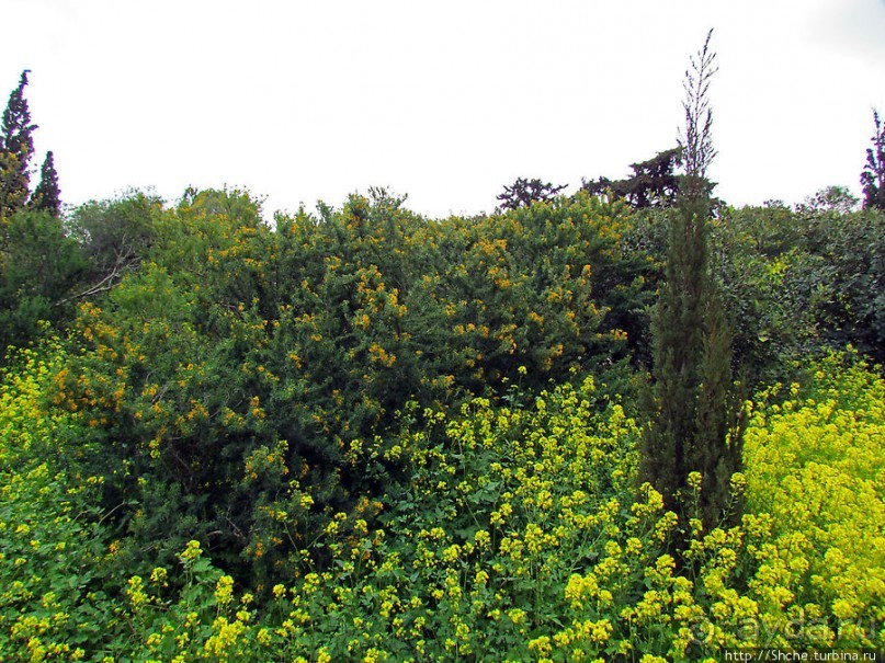 От прогулки к практически горному треккингу в центре города