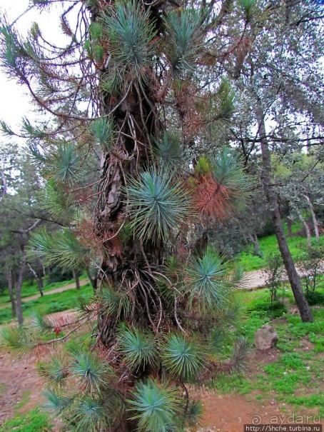 От прогулки к практически горному треккингу в центре города