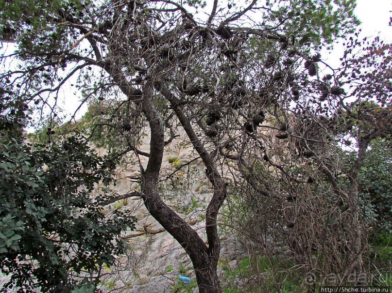 От прогулки к практически горному треккингу в центре города