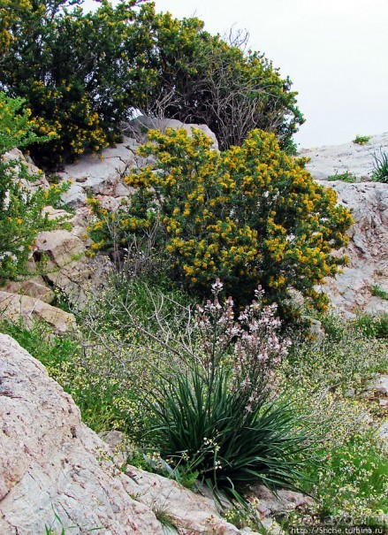 От прогулки к практически горному треккингу в центре города