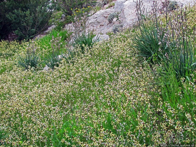 От прогулки к практически горному треккингу в центре города