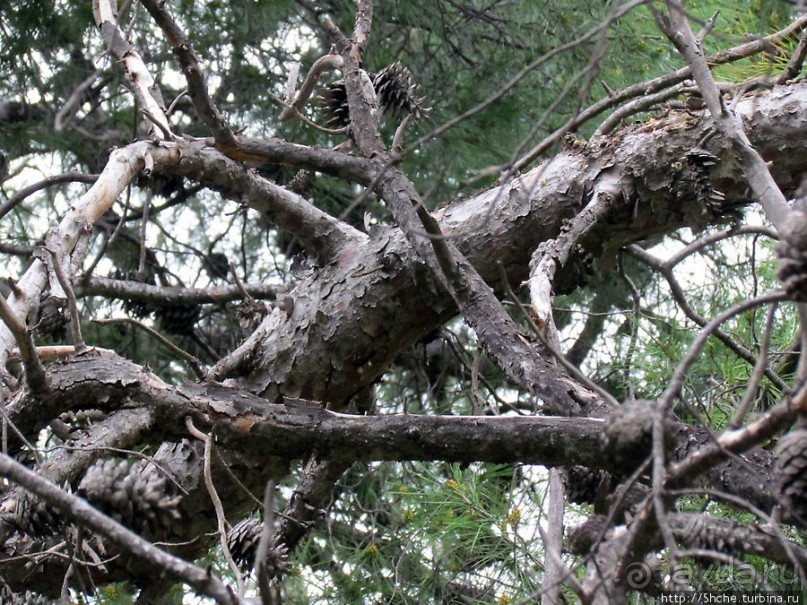 От прогулки к практически горному треккингу в центре города