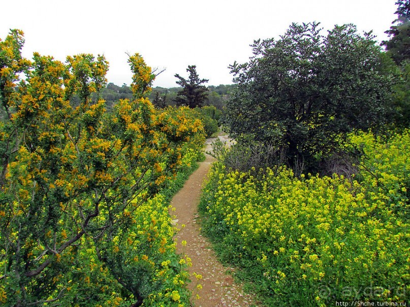 От прогулки к практически горному треккингу в центре города